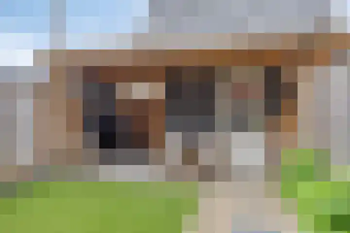 Wadloper 4 Kampen thumbnail 6