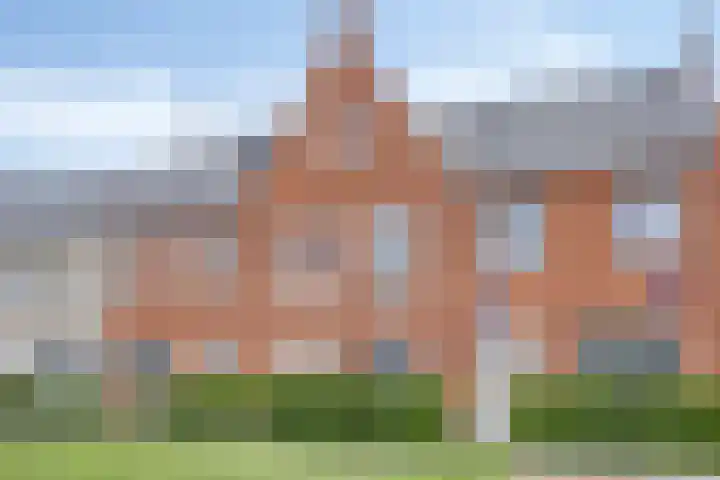 Wadloper 4 Kampen thumbnail 9