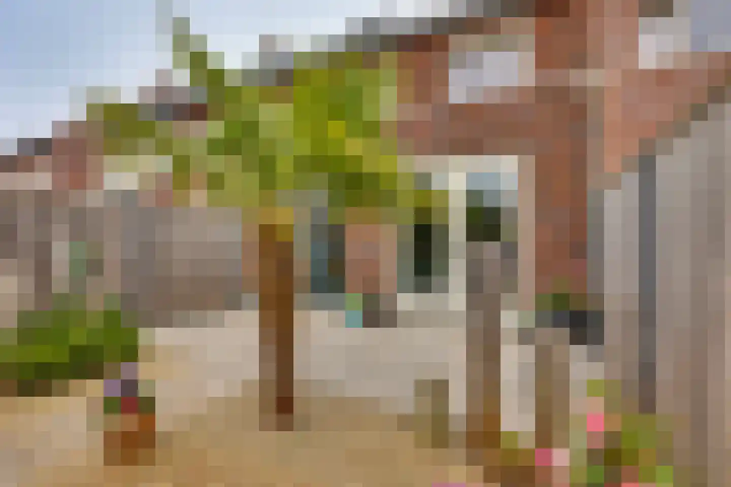 Wadloper 50 Kampen thumbnail 46