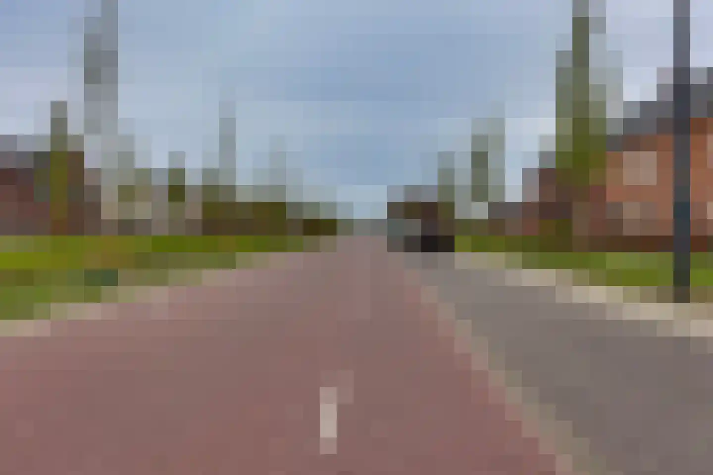 Wadloper 50 Kampen thumbnail 50