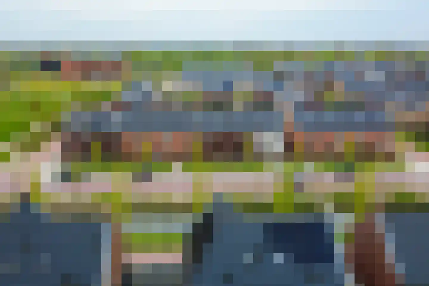 Wadloper 50 Kampen thumbnail 6