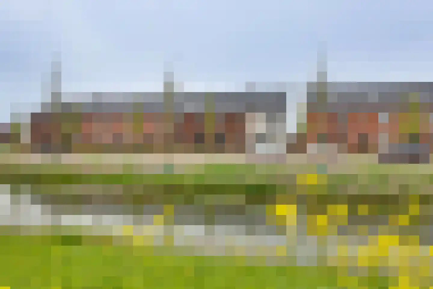 Wadloper 50 Kampen thumbnail 7