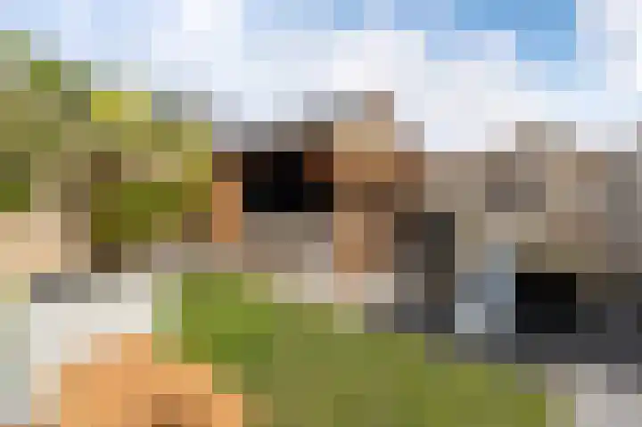 Wadloper 51 Kampen thumbnail 28