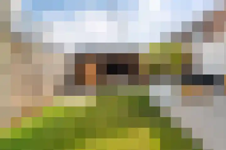 Wadloper 51 Kampen thumbnail 30