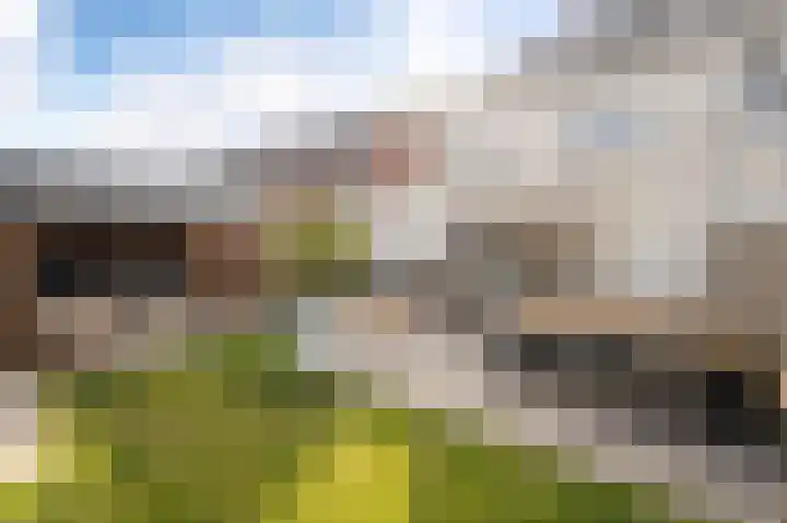 Wadloper 51 Kampen thumbnail 4