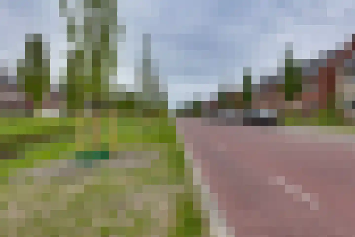 Wadloper 6 Kampen thumbnail 8