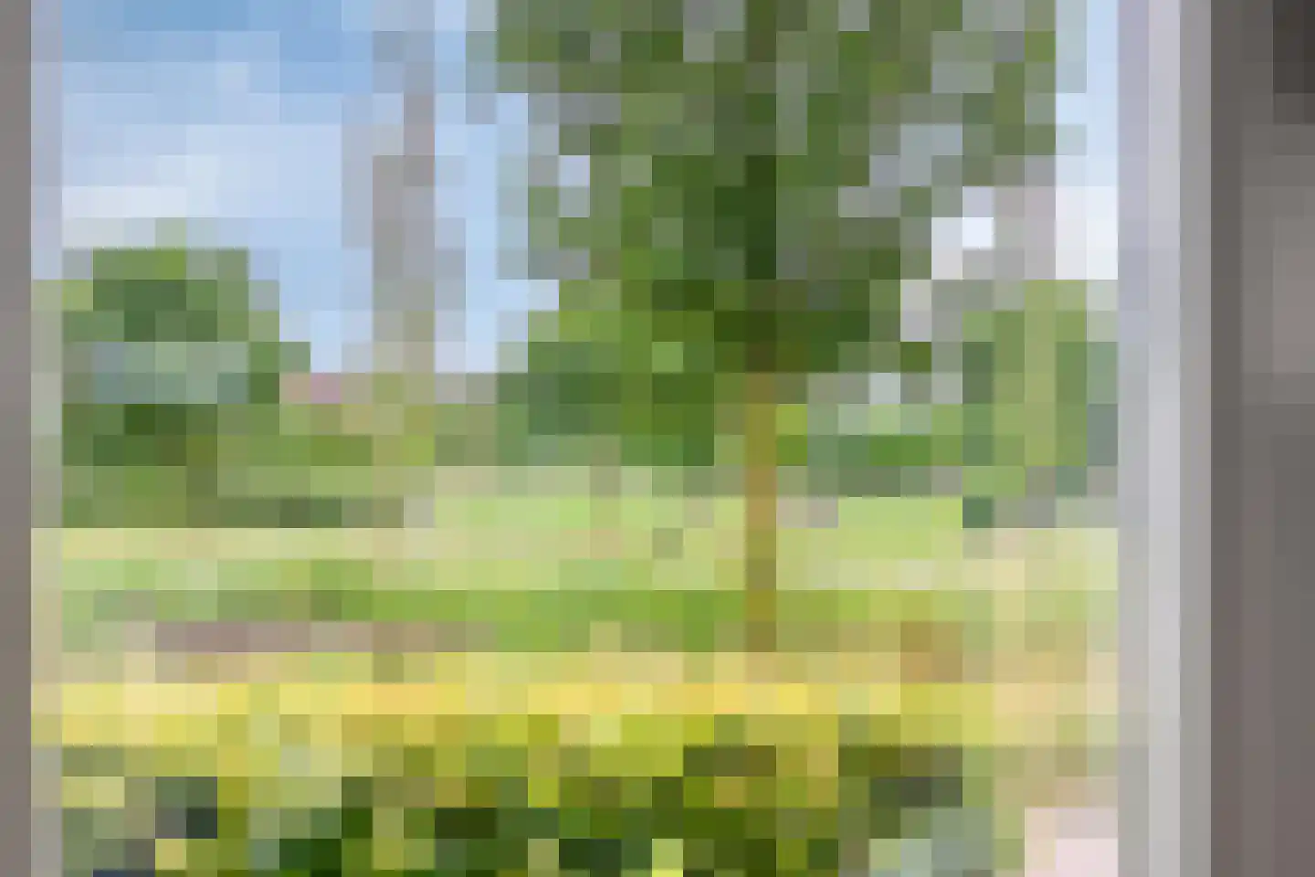 Wadloper 63 Kampen thumbnail 16