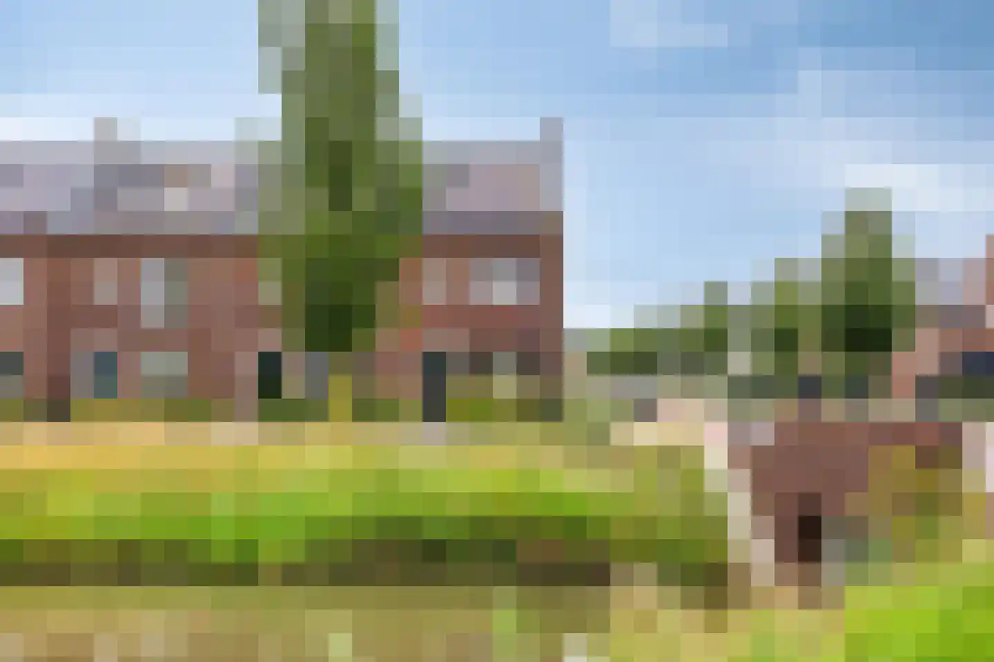 Wadloper 63 Kampen thumbnail 40