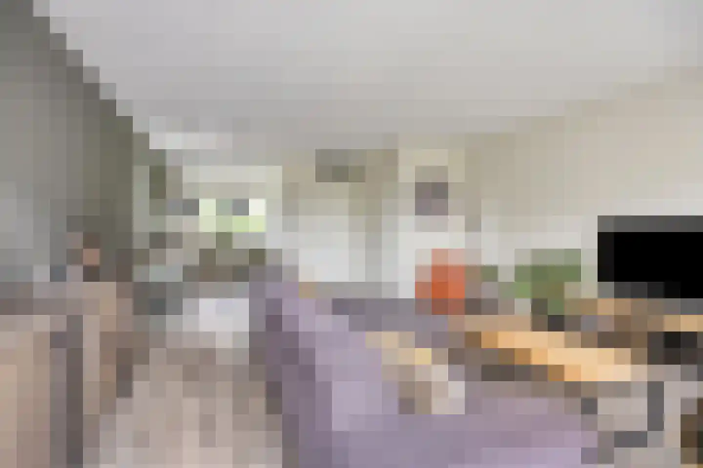 Wadloper 63 Kampen thumbnail 8