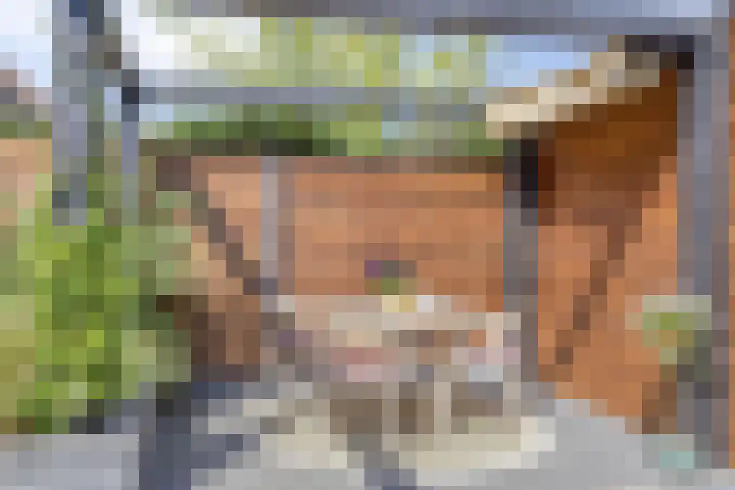 Wadloper 89 Kampen thumbnail 30