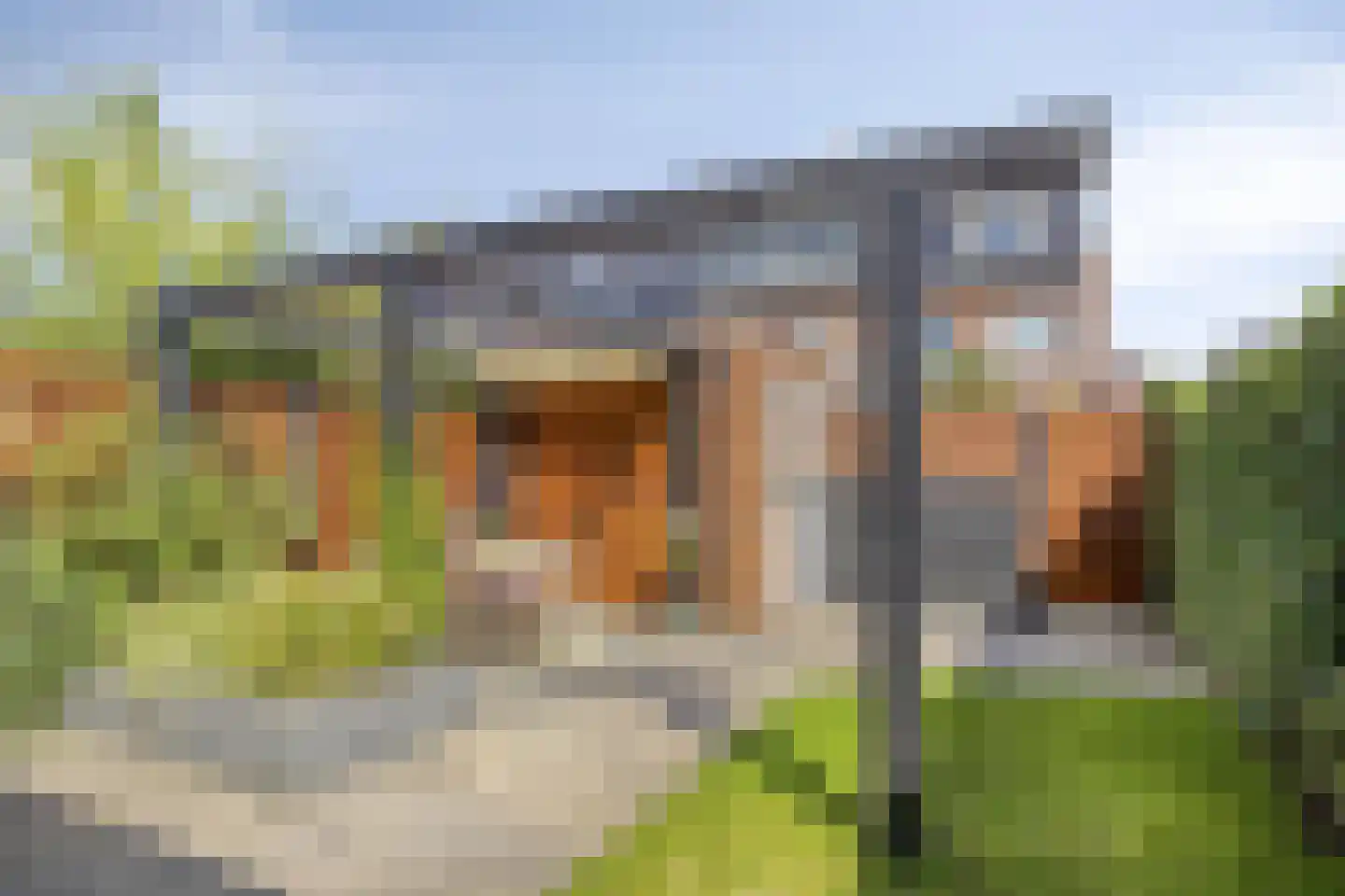Wadloper 89 Kampen thumbnail 31