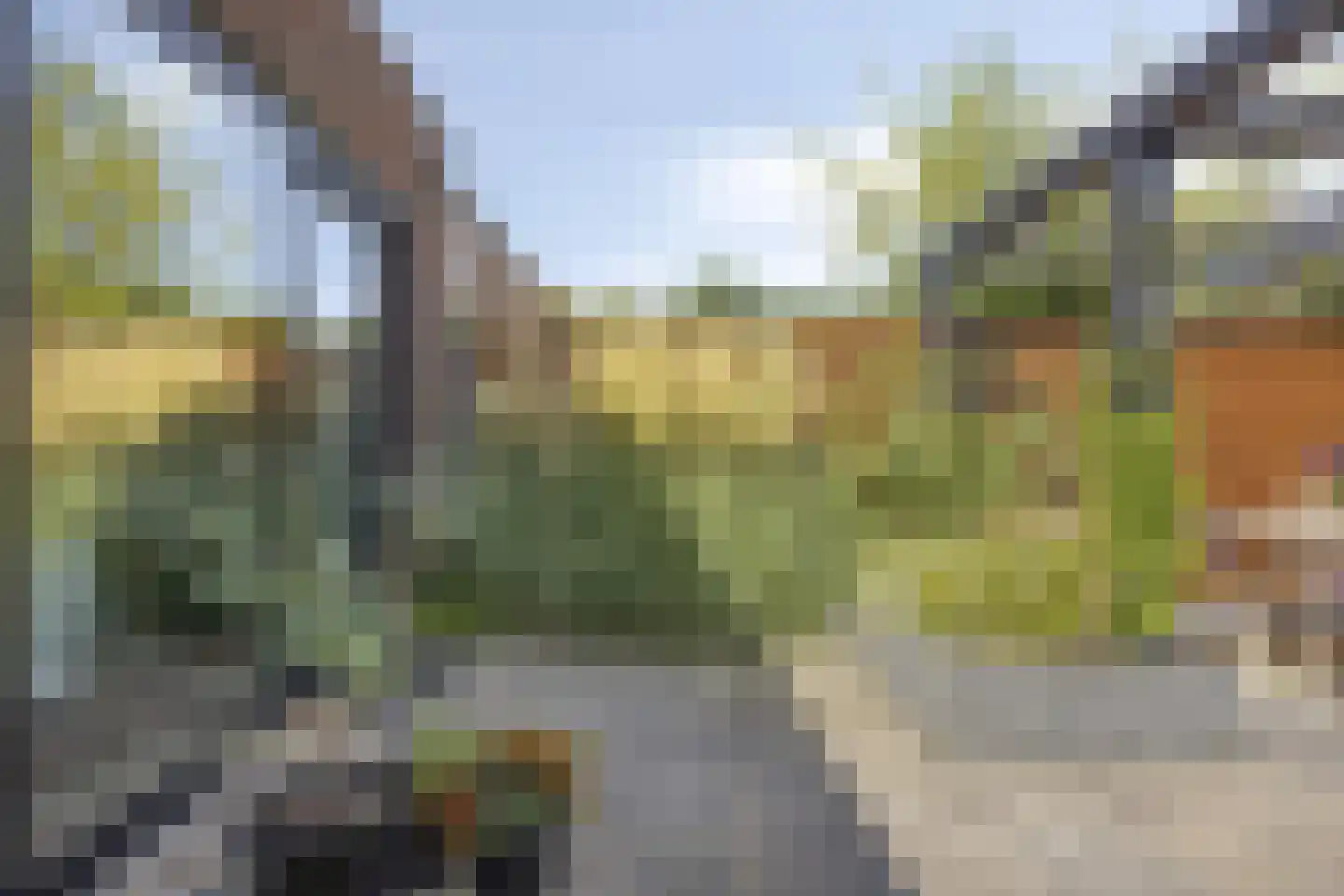 Wadloper 89 Kampen thumbnail 32
