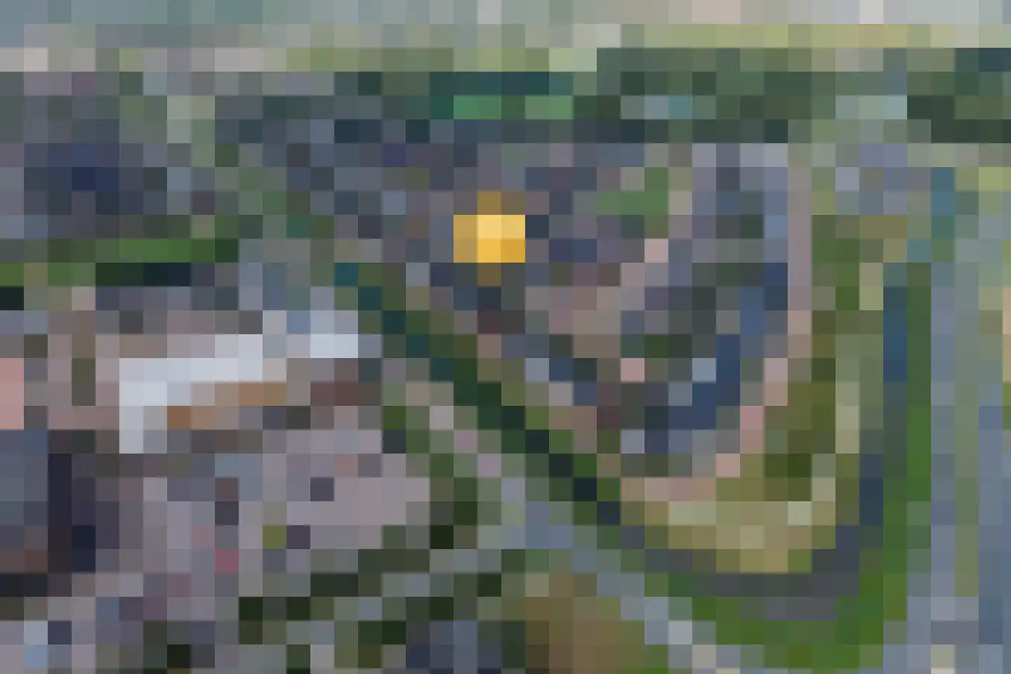 Wadloper 89 Kampen thumbnail 36