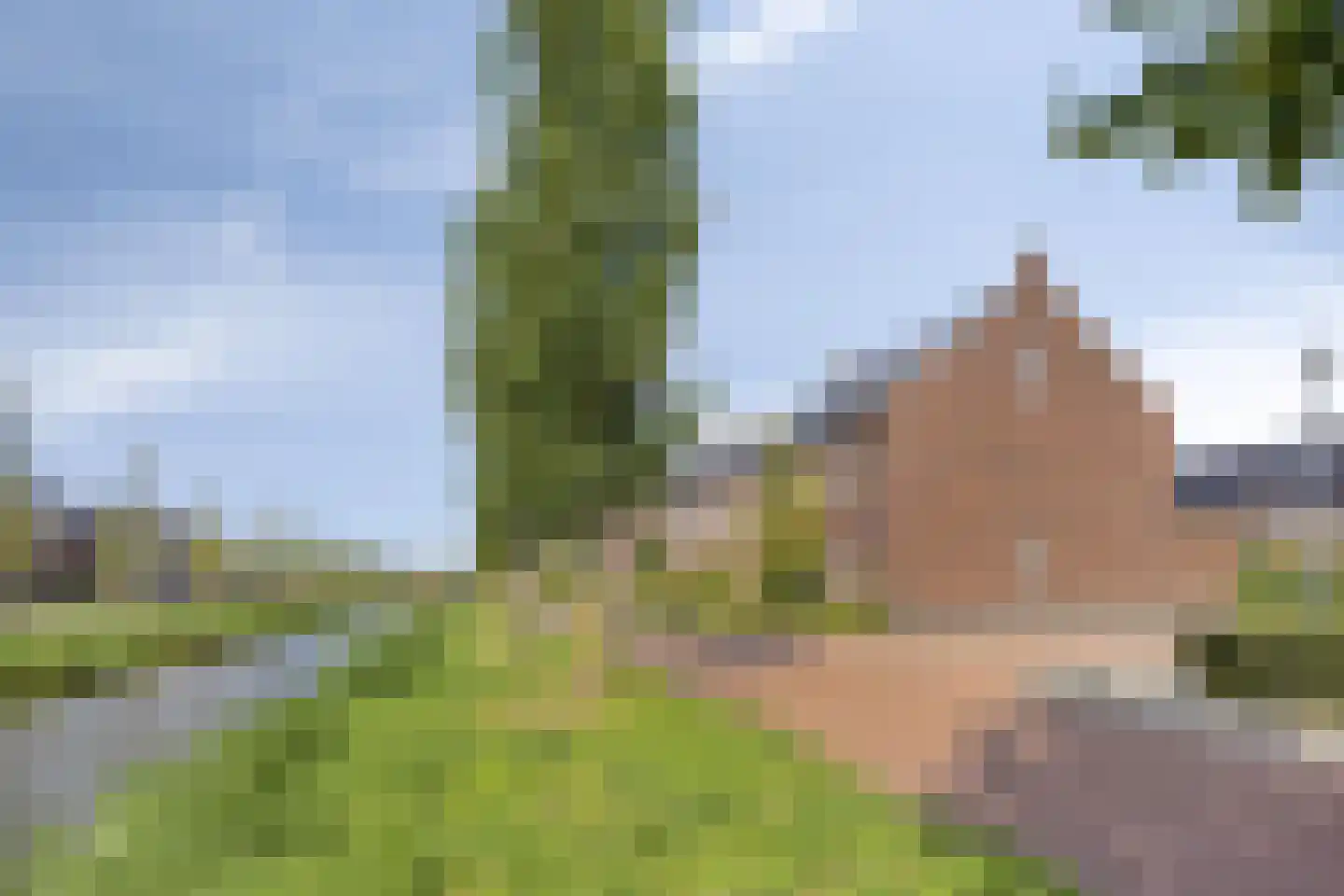Wadloper 89 Kampen thumbnail 39