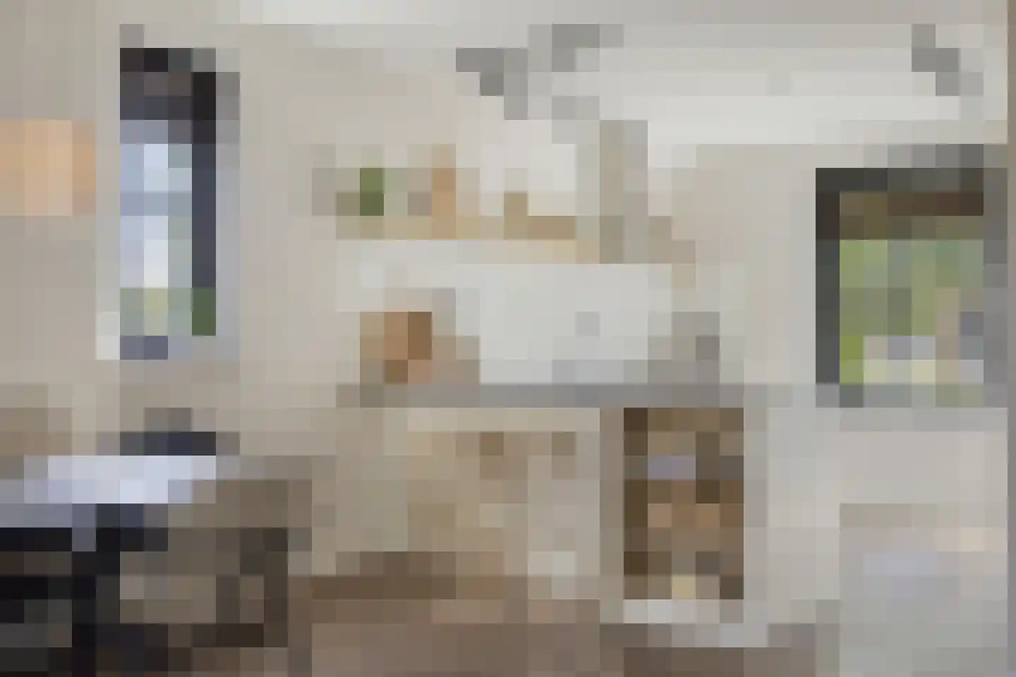 Wadloper 89 Kampen thumbnail 8