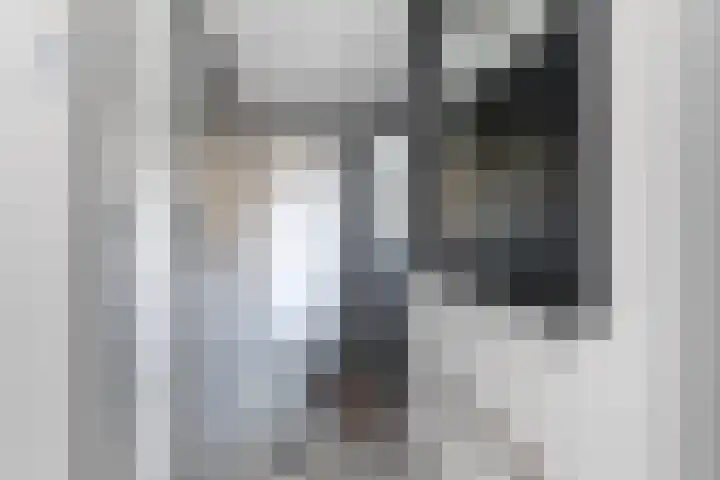 Waechswâl 7 Woudsend thumbnail 16