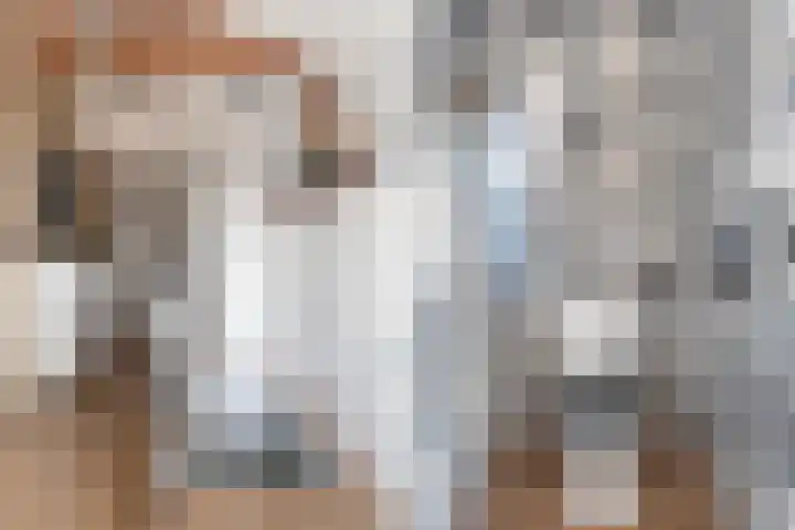 Waechswâl 7 Woudsend thumbnail 20