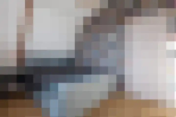 Waechswâl 7 Woudsend thumbnail 22
