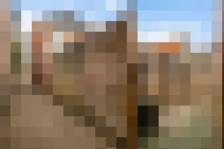 Waechswâl 7 Woudsend thumbnail 34