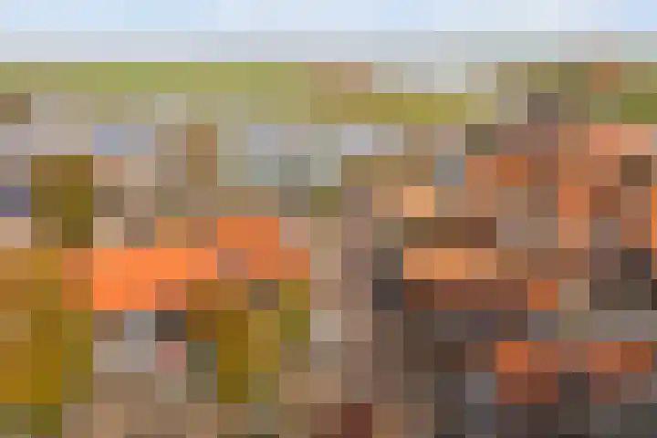 Waechswâl 7 Woudsend thumbnail 4