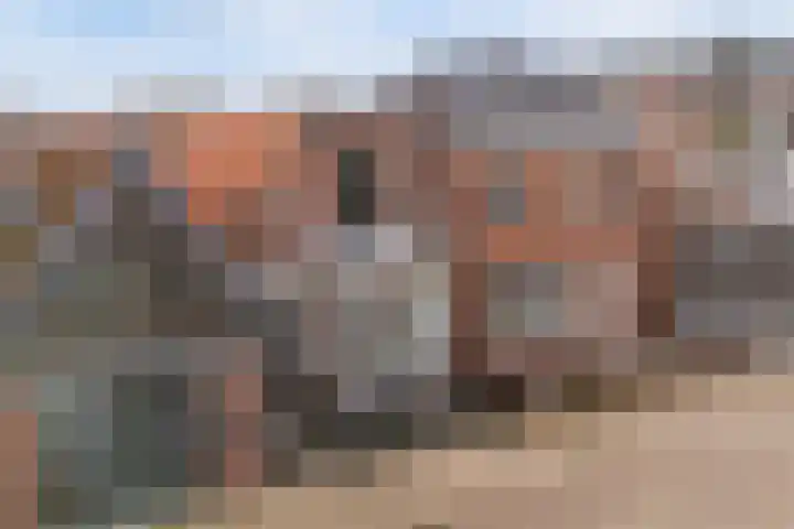 Waechswâl 7 Woudsend thumbnail 40