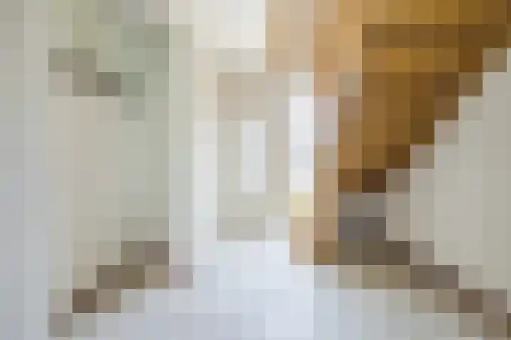 Waegemaekersstraat 7 Zegge thumbnail 14