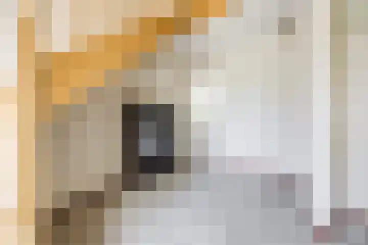 Waegemaekersstraat 7 Zegge thumbnail 15
