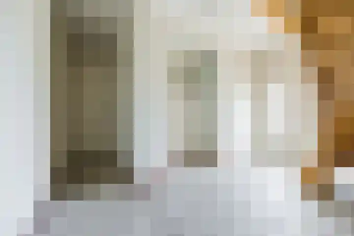 Waegemaekersstraat 7 Zegge thumbnail 16