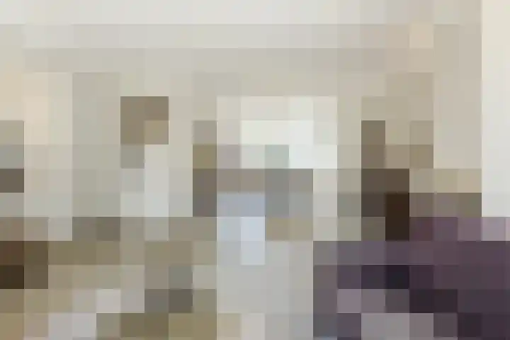 Waegemaekersstraat 7 Zegge thumbnail 25