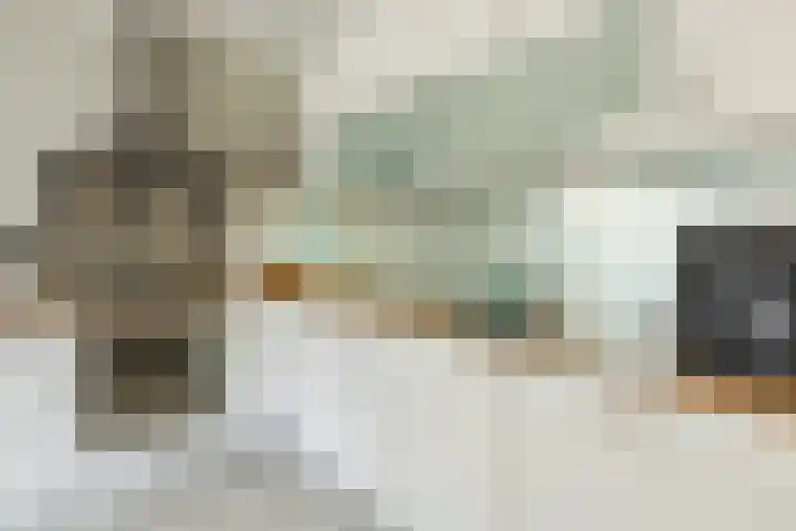 Waegemaekersstraat 7 Zegge thumbnail 36
