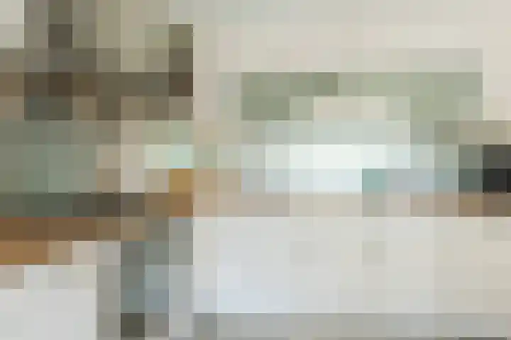 Waegemaekersstraat 7 Zegge thumbnail 37