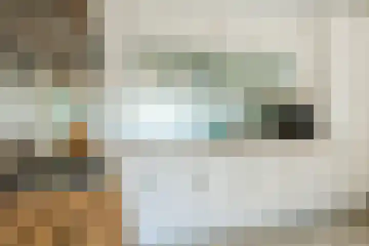 Waegemaekersstraat 7 Zegge thumbnail 38