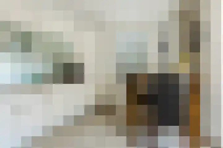 Waegemaekersstraat 7 Zegge thumbnail 39