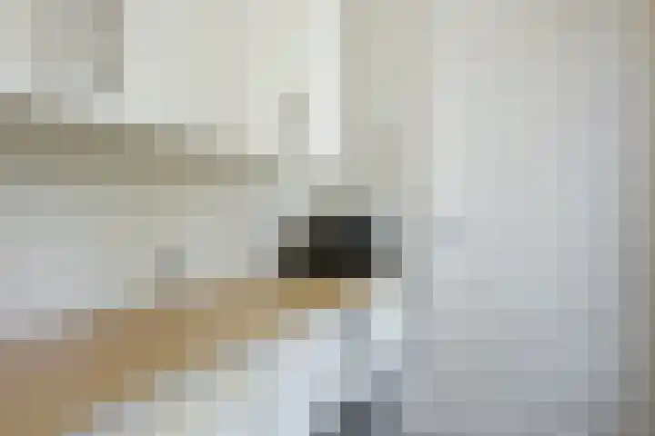 Waegemaekersstraat 7 Zegge thumbnail 42