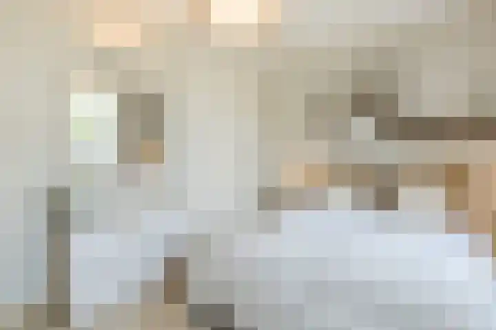 Waegemaekersstraat 7 Zegge thumbnail 44