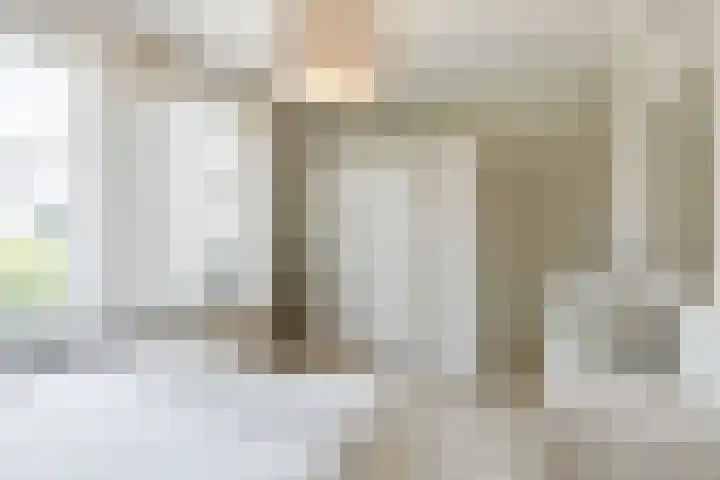 Waegemaekersstraat 7 Zegge thumbnail 45