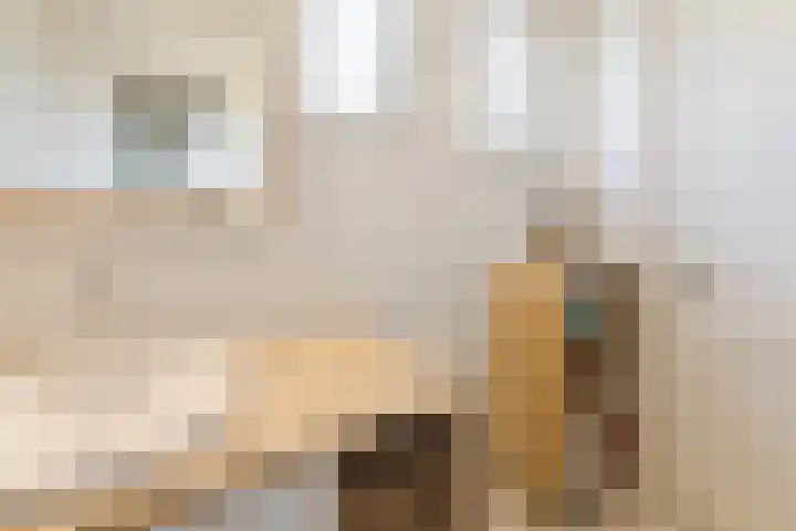 Waegemaekersstraat 7 Zegge thumbnail 48