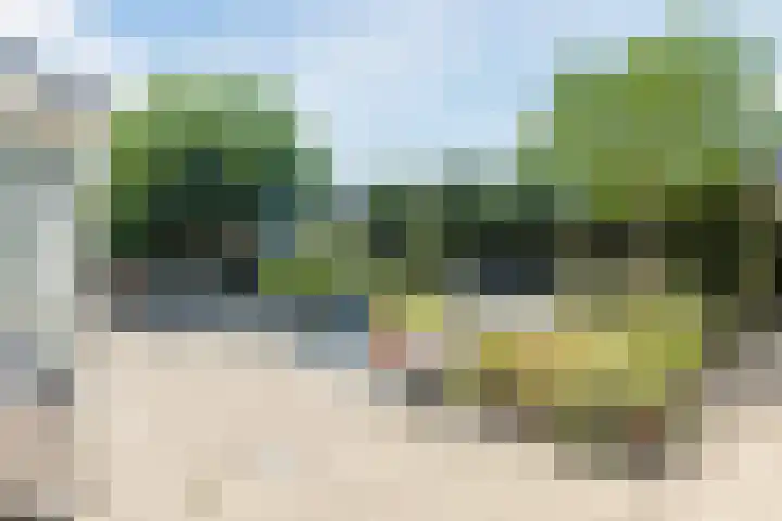 Waegemaekersstraat 7 Zegge thumbnail 5