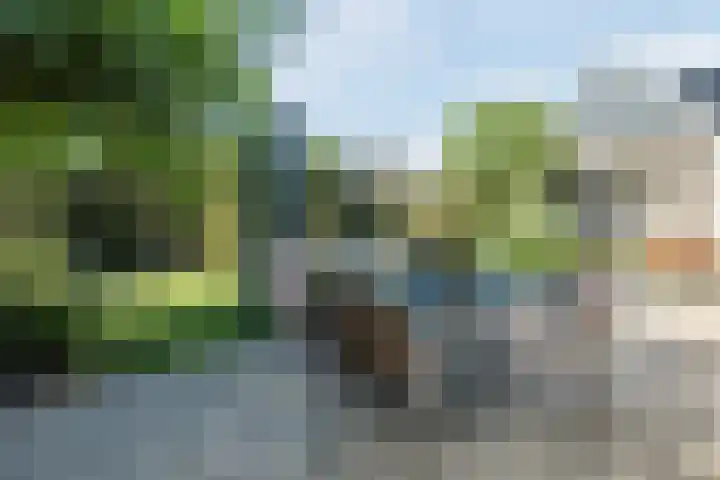 Waegemaekersstraat 7 Zegge thumbnail 6