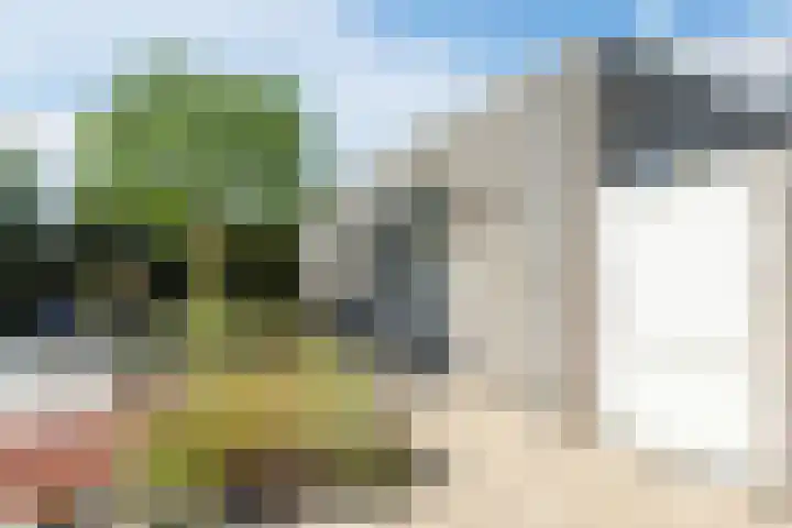 Waegemaekersstraat 7 Zegge thumbnail 65