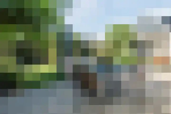 Waegemaekersstraat 7 Zegge thumbnail 67