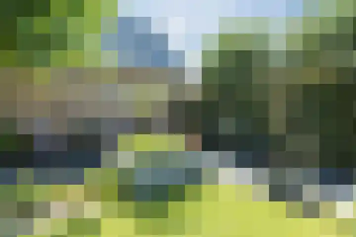 Waegemaekersstraat 7 Zegge thumbnail 69