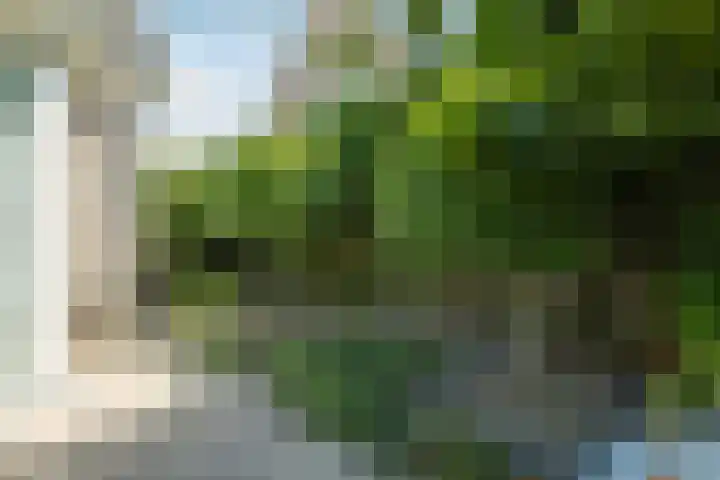 Waegemaekersstraat 7 Zegge thumbnail 71