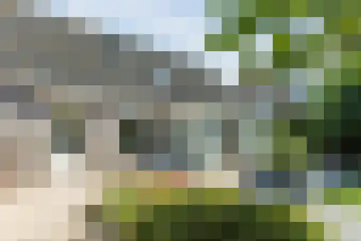 Waegemaekersstraat 7 Zegge thumbnail 73