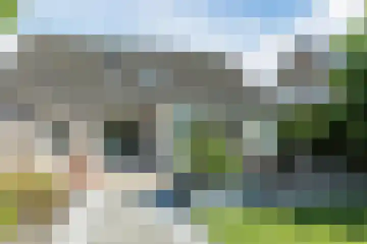 Waegemaekersstraat 7 Zegge thumbnail 76