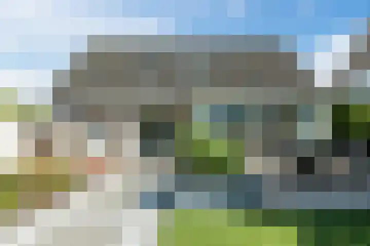 Waegemaekersstraat 7 Zegge thumbnail 77