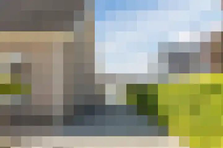 Waegemaekersstraat 7 Zegge thumbnail 79