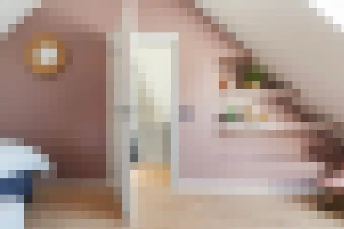 Waegenburghtplein 20 Drunen thumbnail 26