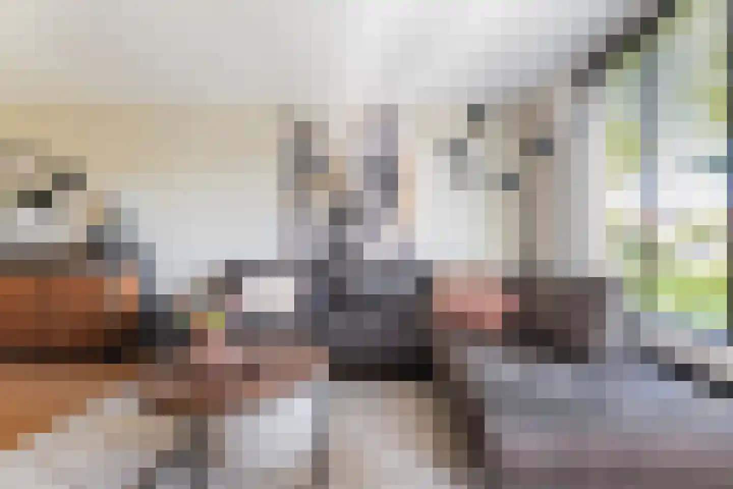 Waegenburghtplein 20 Drunen thumbnail 8