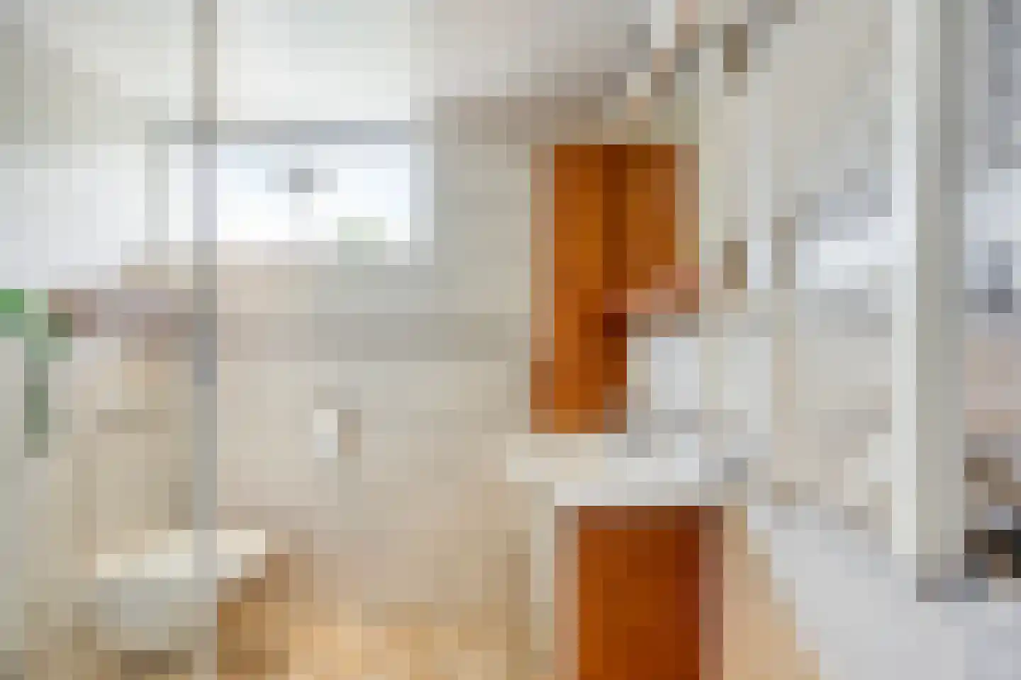 Waelneslaan 11 Hendrik-Ido-Ambacht thumbnail 17